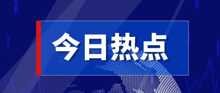 2023年1月中國農(nóng)藥價(jià)格指數(shù)（CAPI）