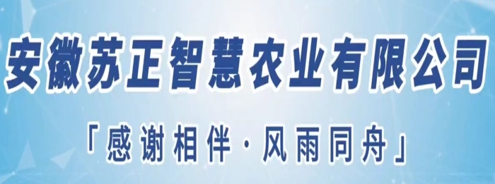 守望初心勇?lián)?dāng)，篤定前行綻芳華